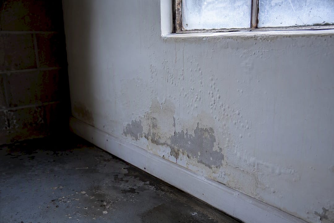 Wet damaged drywall and baseboard