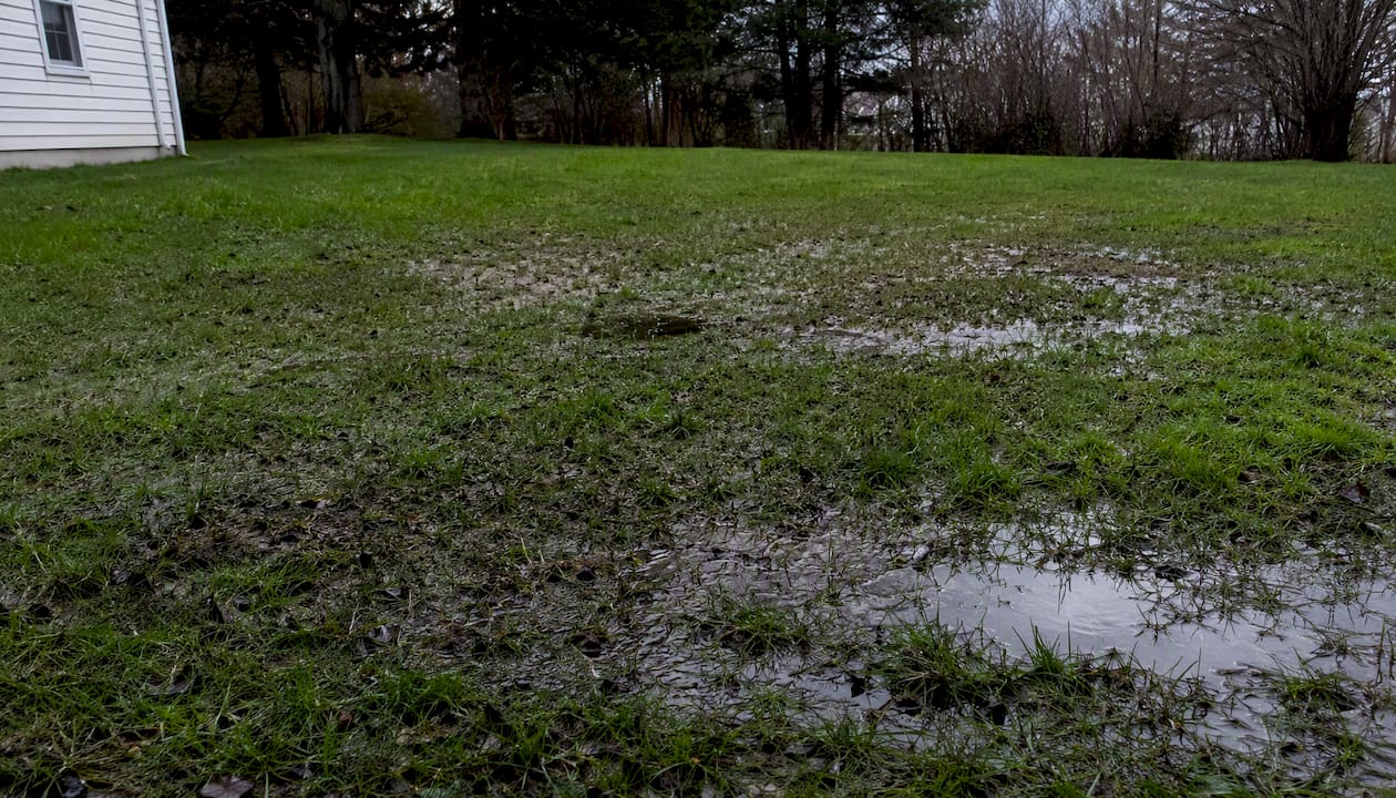 Soggy grass and soil over septic drainfield