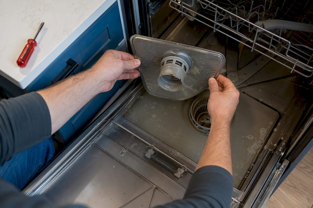 Standing water around dishwasher filter